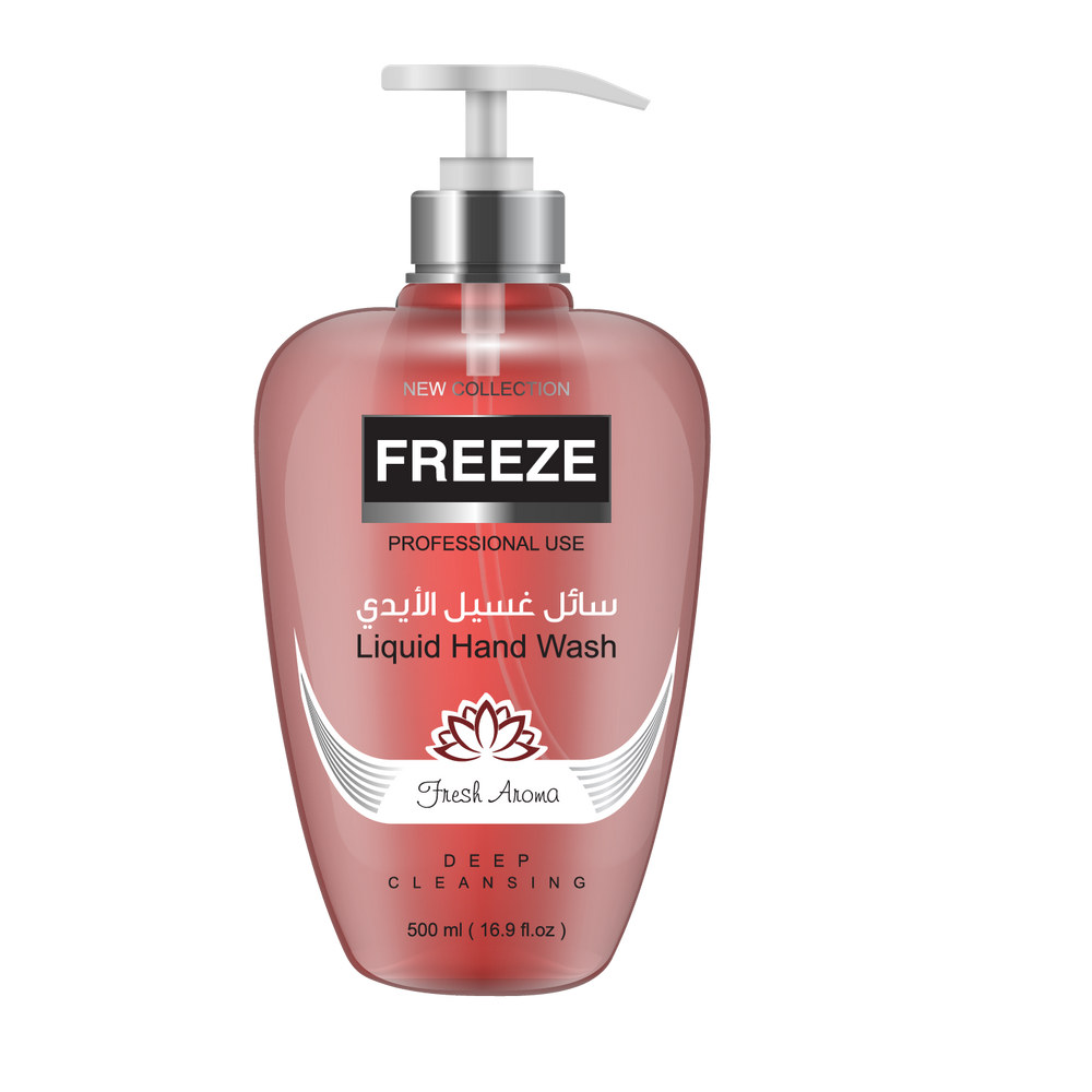 Freeze Foaming Hand Wash Giadness 500 ml
