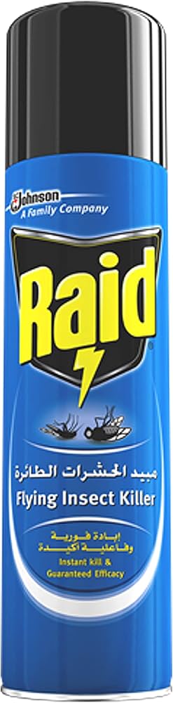 Raid Odorless Flying Insect Killer 300ml