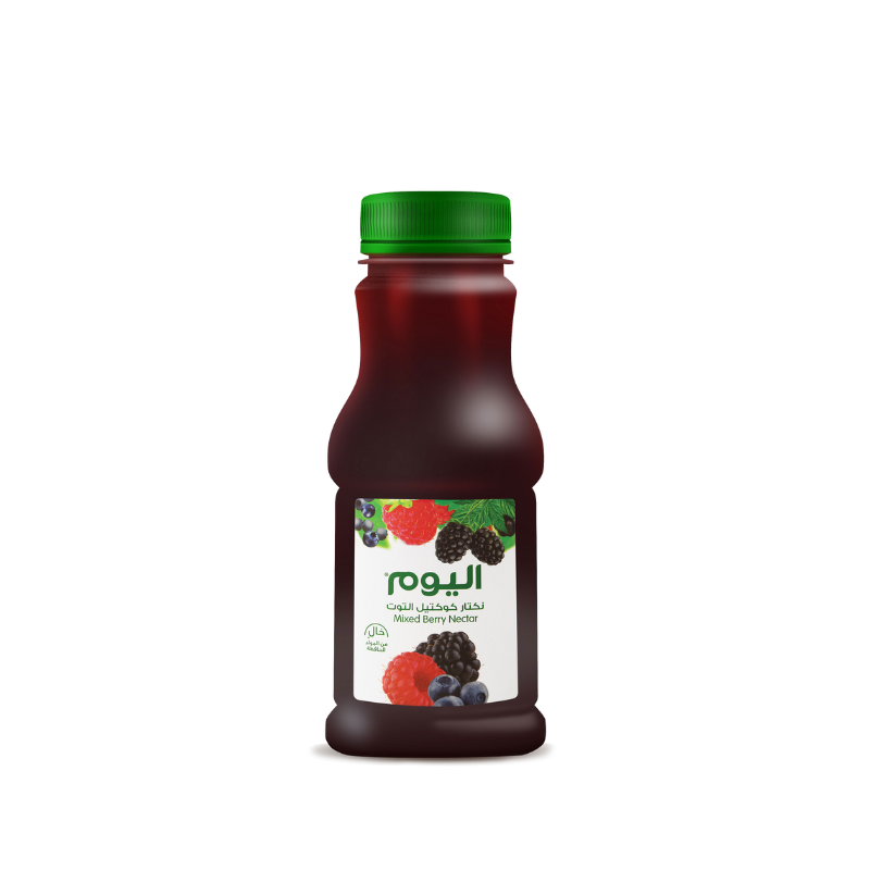 Alyoum Mixed Berry Nectar 250 ml seen