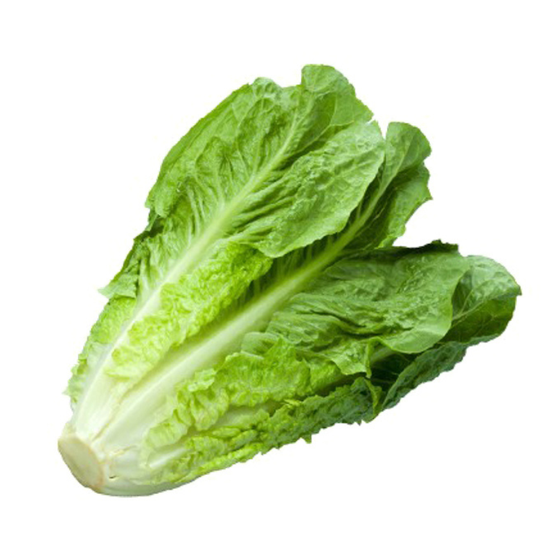 Local Lettuce 1 Piece