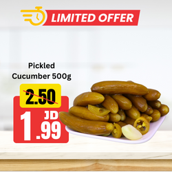 Pickled Cucumber 500g