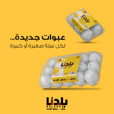 بلدنا 15 بيضة بيضاء XL
