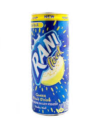 Rani Guava Float 240 ml