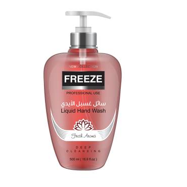 Freeze Foaming Hand Wash Giadness 500 ml