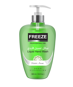 Freeze Foaming Hand Wash Cravity 500 ml