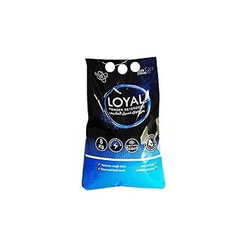 Loyal Washing Powder 600g
