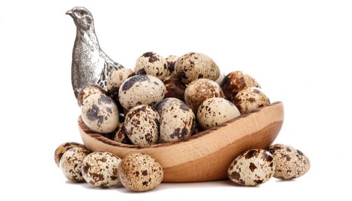 Farms Quail Eggs Organic 100% 12 Pcs