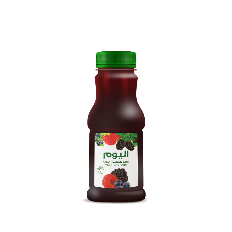 Alyoum Mixed Berry Nectar 250 ml