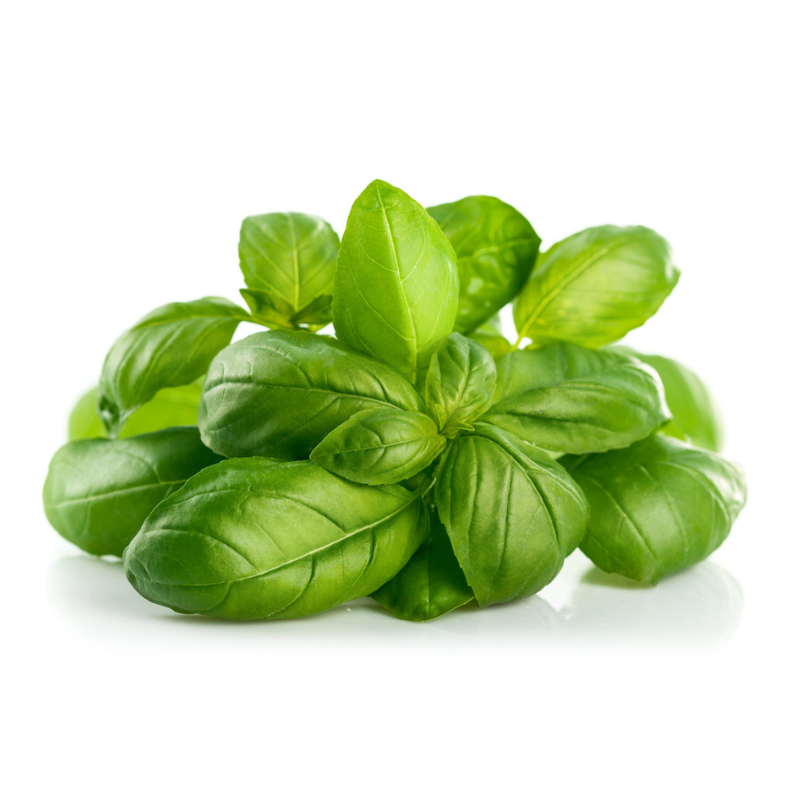 Basil Box Contain 2 Bunches