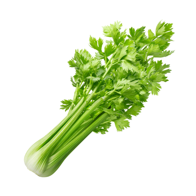 Celery 500g