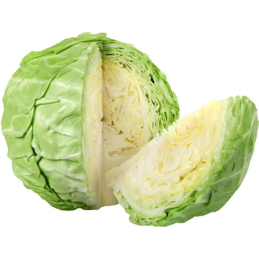 Cabbage 1 Piece around 2Kg