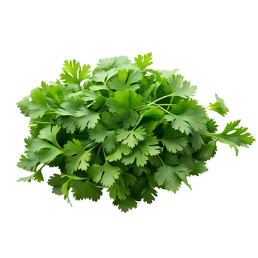 Coriander, 1 Bunch