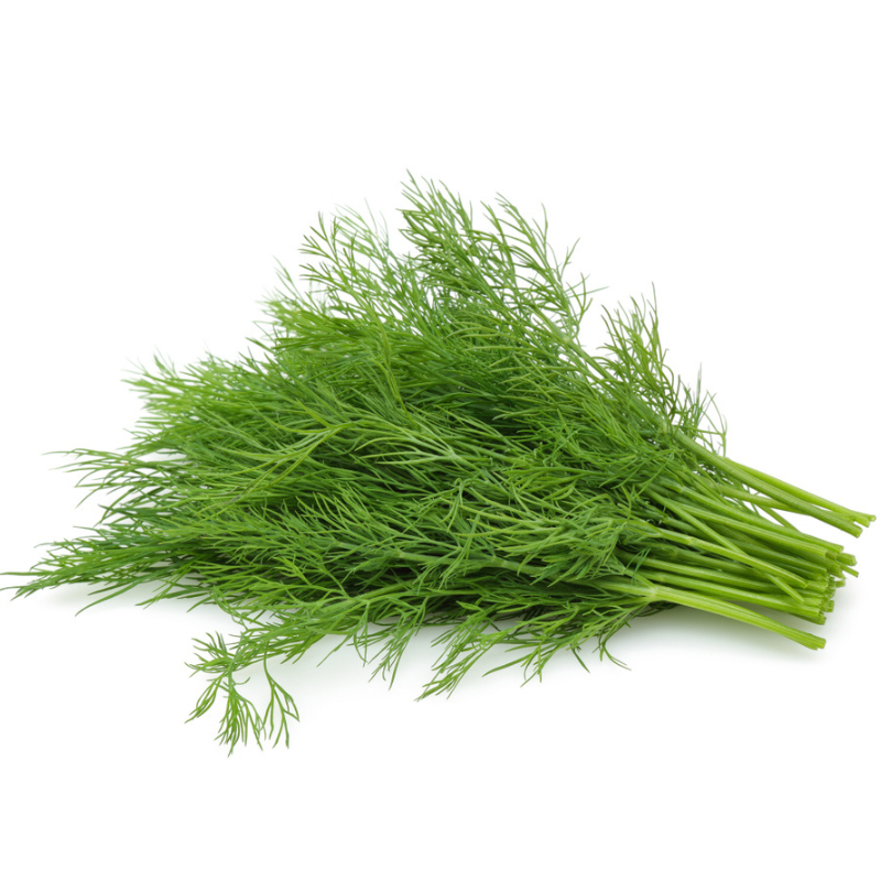 Dill, 1 Bunch