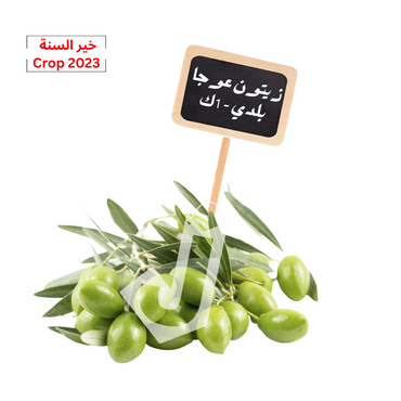 Green Olives Ouja  1Kg