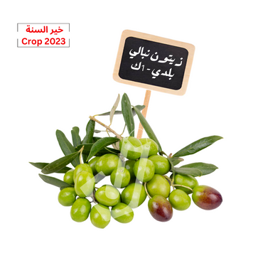 Green Olives Nebale  1Kg