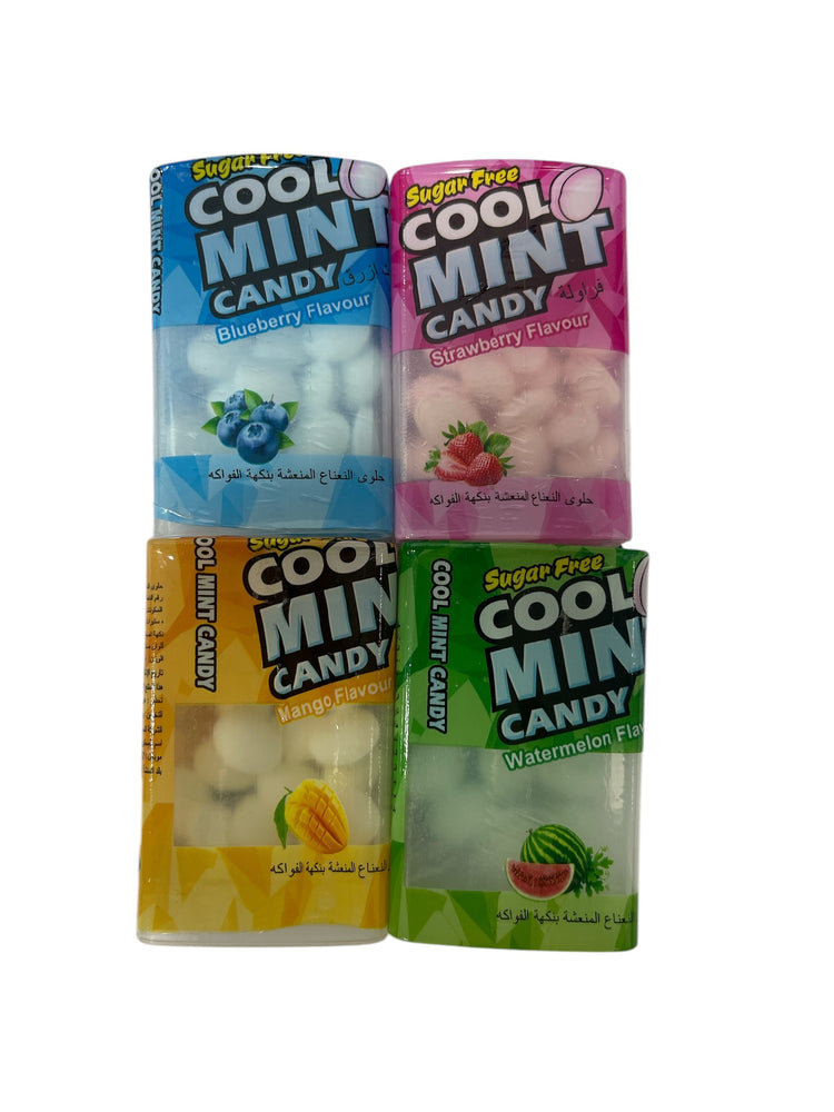 Cool Mint Candy Multi Flavour 10g