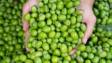 Local Green Olives 1Kg