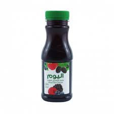 Alyoum Mixed Berry Nectar 250 ml