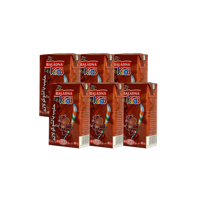 Baladna Chocolate Milk 125ml * 6 Package