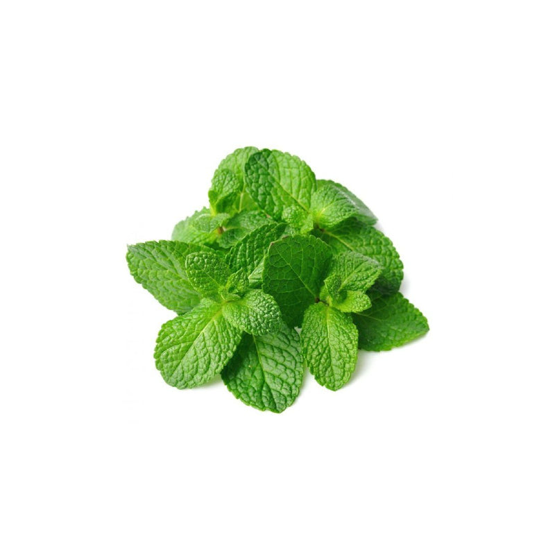 Mint, 1 Bunch
