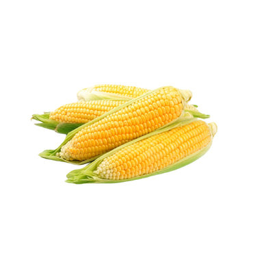 Sweet Corn 4 Pieces