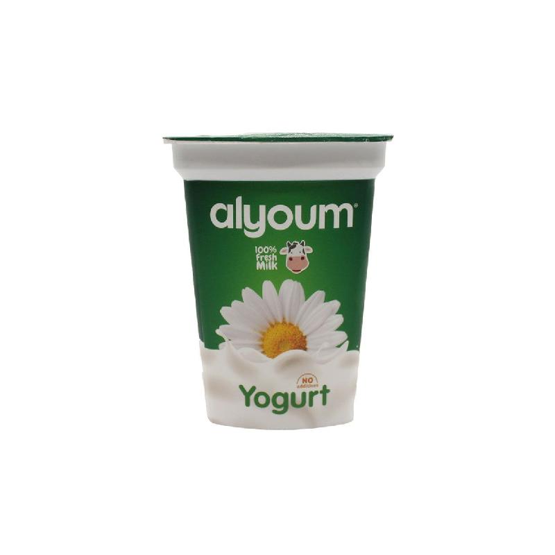 Alyoum Yoghurt 500 g - Jebnalak - جبنالك