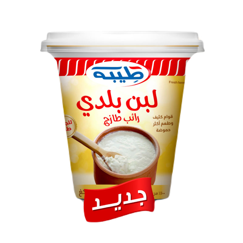 Teeba Baladi Yoghurt 700g