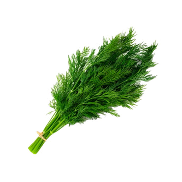 Dill, 1 Bunch